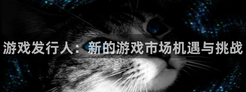 pp电子科技有限公司：游戏发行人：新的游戏市场机遇与挑战