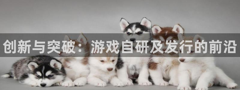 pp电子官网登录注册账号安全吗可靠吗：创新与突破：游戏自研及发行的前沿