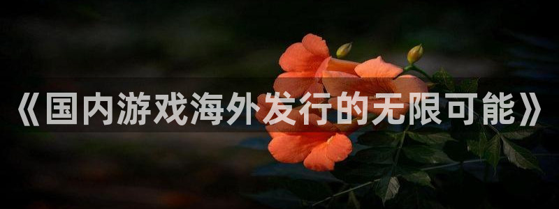 pp电子子财经丛书：《国内游戏海外发行的无限可能》