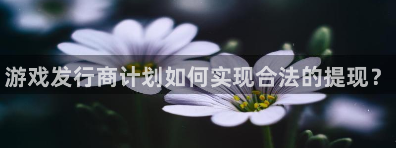 pp电子子公司怎么样知乎：游戏发行商计划如何实现合法的提现？