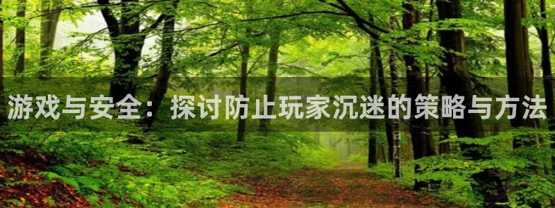 pp电子官网登录注册账号失败怎么回事：游戏与安全：探讨防止玩家沉迷的策略与方法
