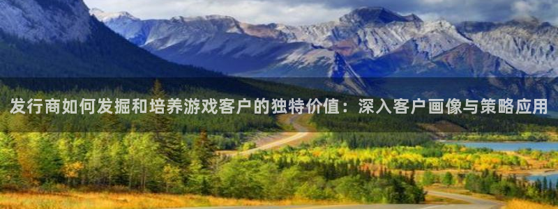 pp电子官网代理注册地址：发行商如何发掘和培养游戏客户的独特价值：深入客户画像与策略应用
