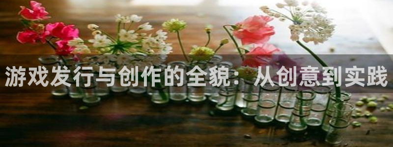 pp电子电子商务有限公司怎么样知乎：游戏发行与创作的全貌：从创意到实践
