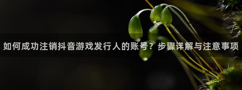 广州pp电子投资管理顾问有限公司