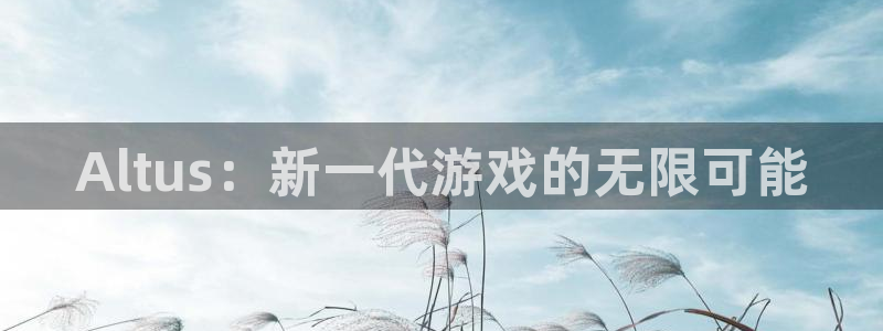pp电子子公司怎么样可靠吗