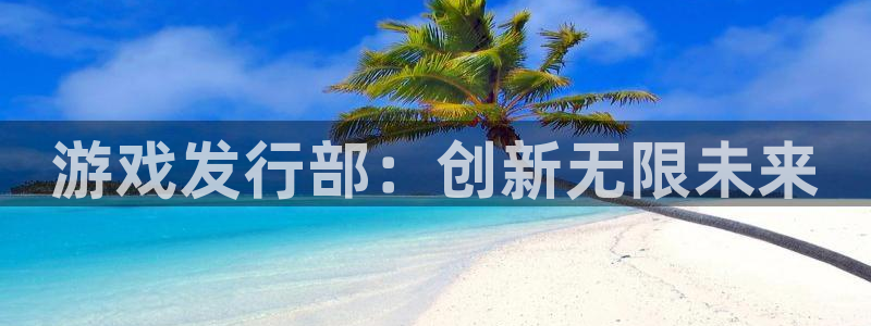 深圳pp电子电商：游戏发行部：创新无限未来