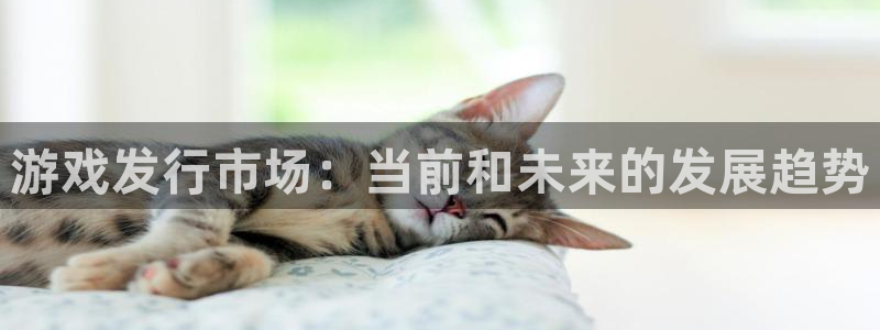 pp电子烟照片：游戏发行市场：当前和未来的发展趋势