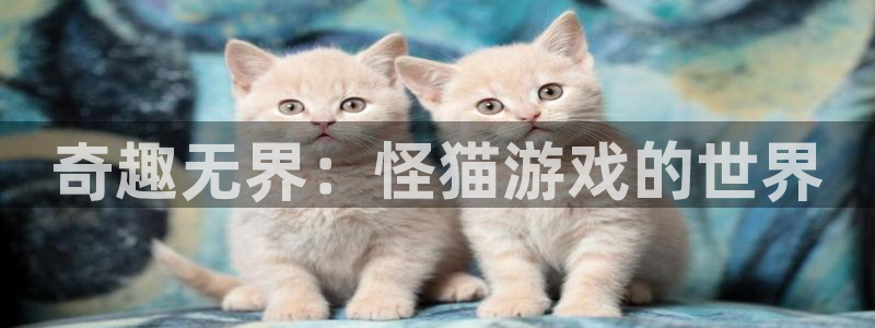 pp电子集团是什么企业