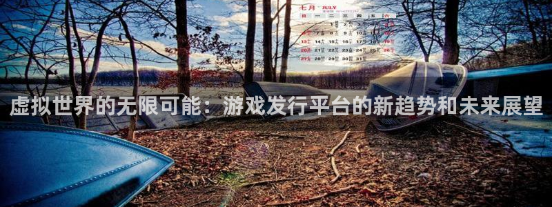 pp电子官网代理开号怎么开