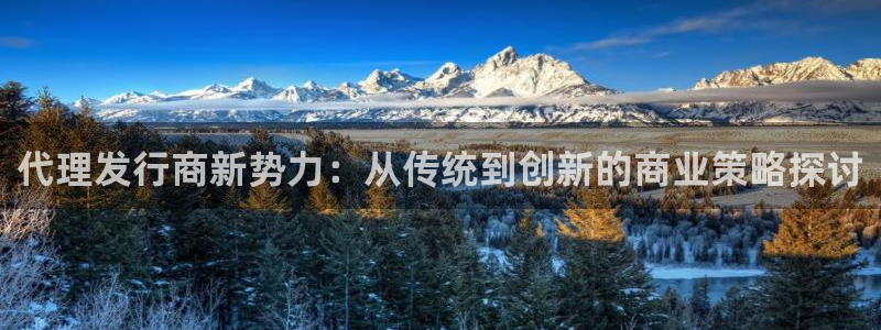 pp电子环境：代理发行商新势力：从传统到创新的商业策略探讨