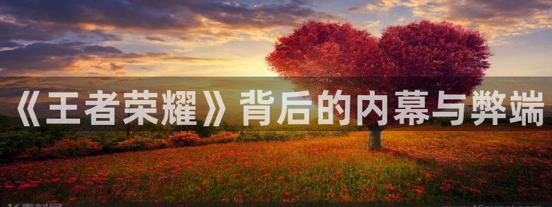 pp电子子 到底怎么样