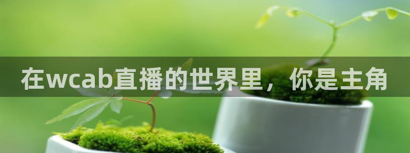 飞速无插件体育直播：在wcab直播的世界里，你是主角