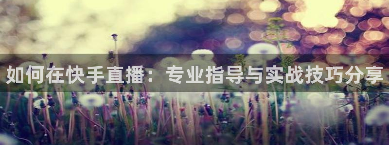 高速飞速体育直播