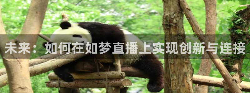 飞速直播足球比赛