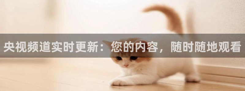 飞速体育直播