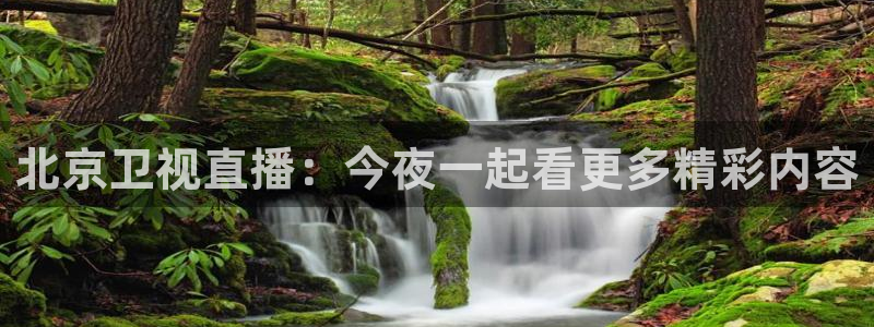 飞速体育直播'