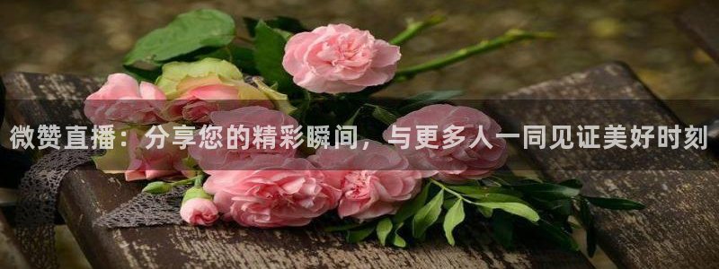 极速体育飞速直播