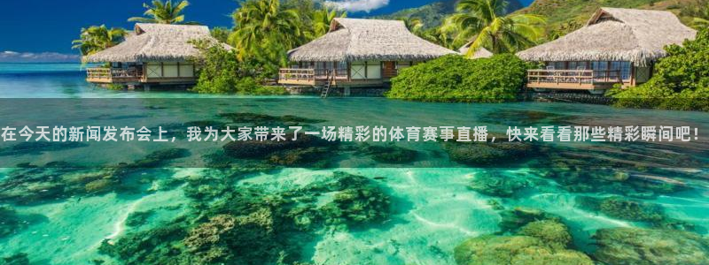nba飞速在线直播