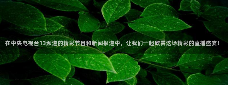 nba直播吧无插件版飞速：在中央电视台13频道的精彩节目和新闻报道中，让我们一起欣赏这场精彩的直播盛宴！
