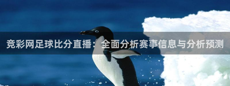 飞速直播体育在线直播：竞彩网足球比分直播：全面分析赛事信息与分析预测