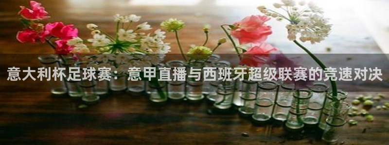 飞速直播nba免费直播在线观看：意大利杯足球赛：意甲直播与西班牙超级联赛的竞速对决