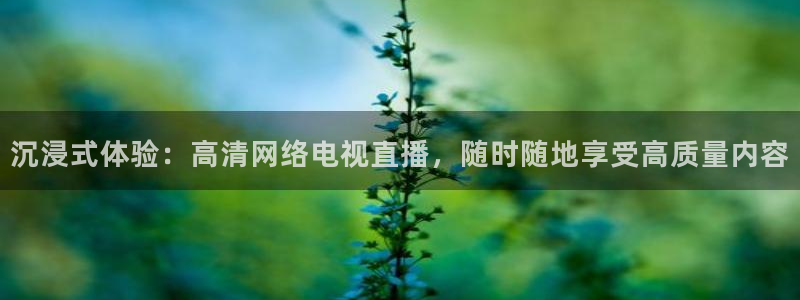 nba飞速直播在线直播：沉浸式体验：高清网络电视直播，随时随地享受高质量内容