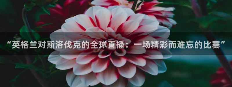 飞速体育直播：“英格兰对斯洛伐克的全球直播：一场精彩而难忘的比赛”