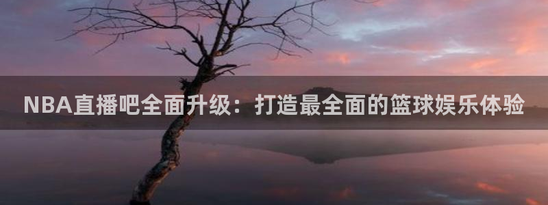 飞速体育无插件直播nba高清：NBA直播吧全面升级：打造最全面的篮球娱乐体验