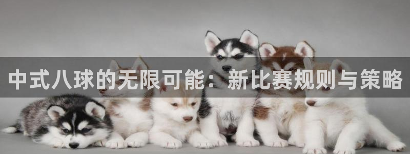 jrs飞速直播：中式八球的无限可能：新比赛规则与策略