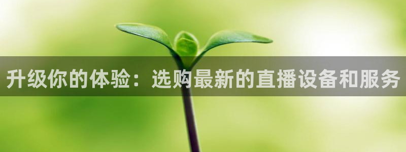 飞速无插件体育直播：升级你的体验：选购最新的直播设备和服务